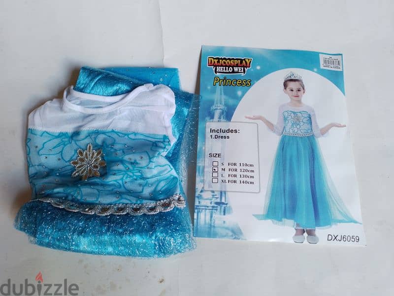 Frozen costume 2