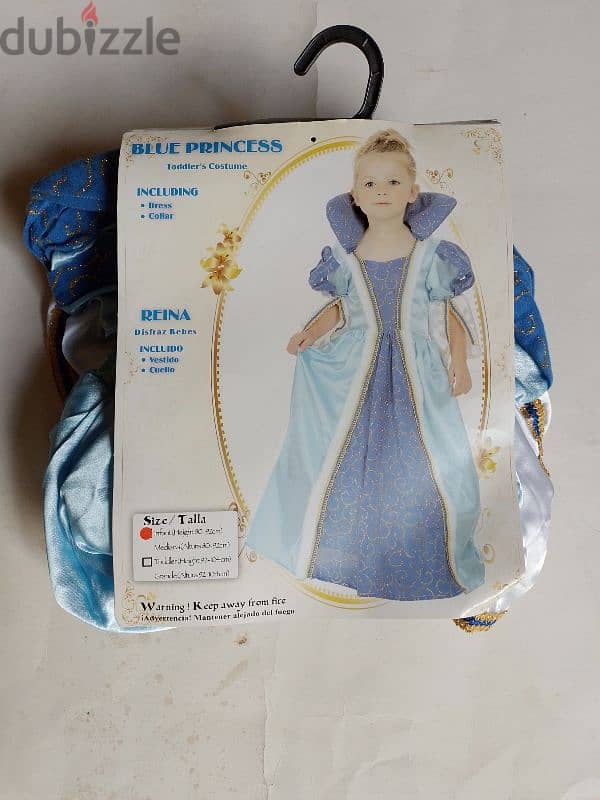 Cinderella costume 0