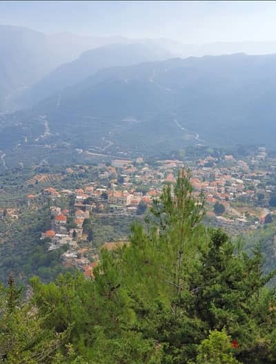 land for sale bchaaleh batroun near Douma village ارض للبيع في بشعله