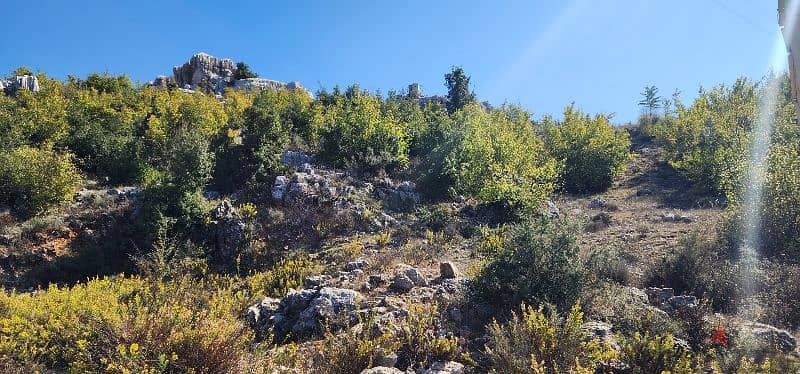 Land for Sale in Aachqout (Keserwan) - أرض للبيع في عشقوت (كسروان) 9