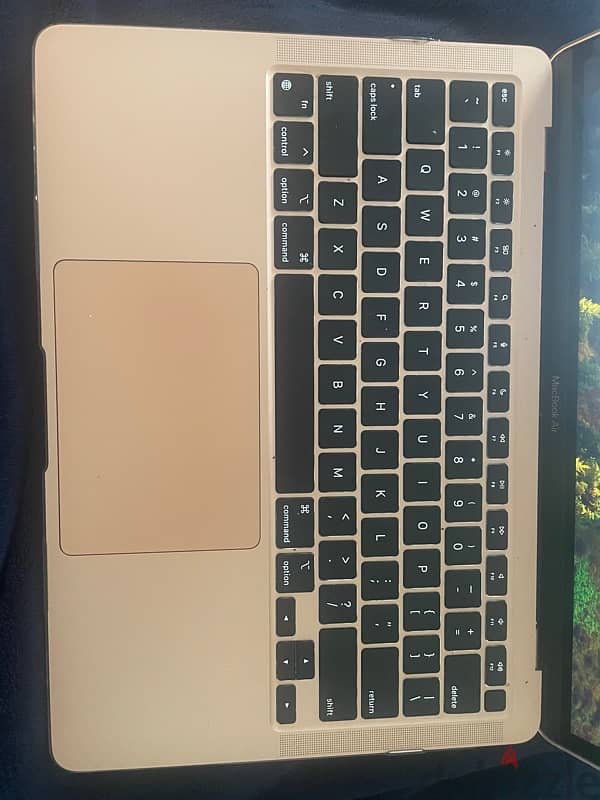 Macbook Air 2020 13' 256 GB 8