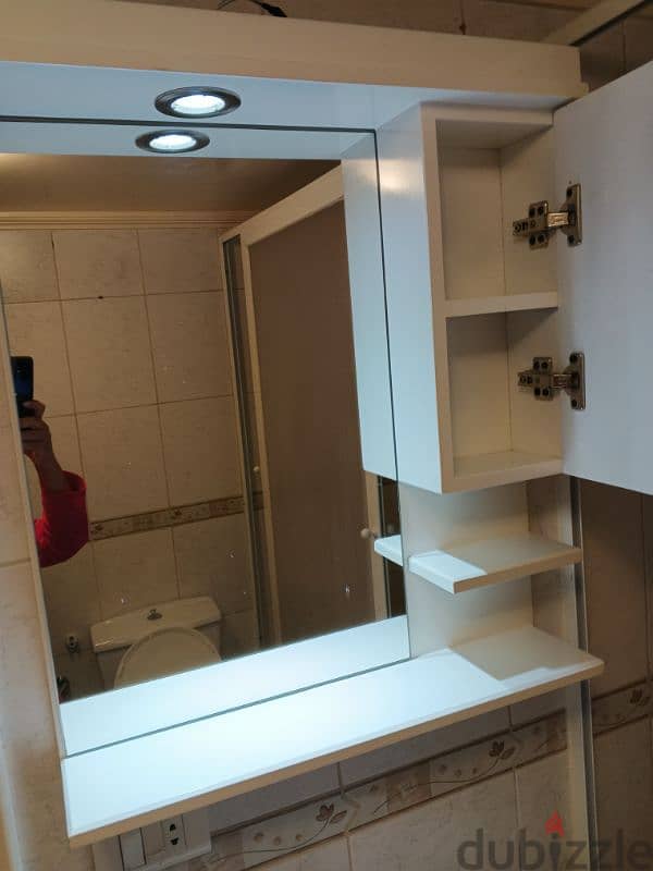 Bathroom mirror cabinet 1