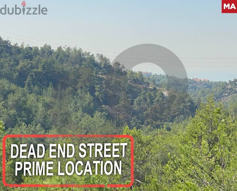 Luxurious ,dead-end street, aley, aramoun/  عرمون  REF#MA114916 0