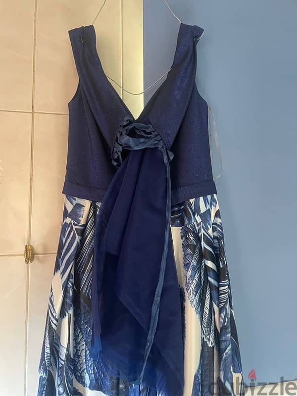 Blue&White Satin Dress 5