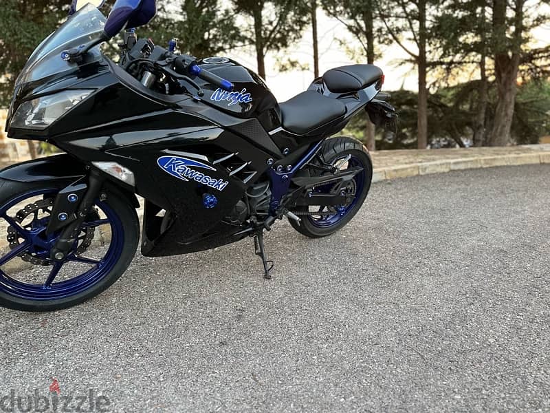 Kawasaki Ninja 300 cc 3