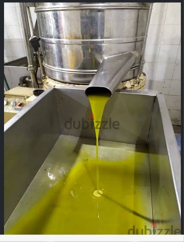 organic extra virgin olive oil 1