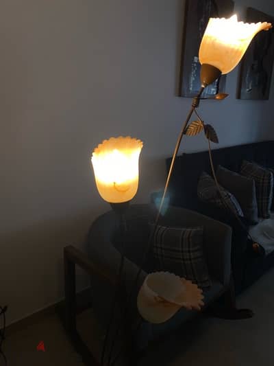 Cute Lamp