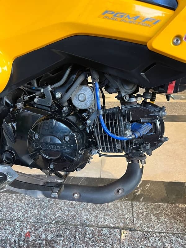 Honda Grom 125 cc Japanese 7