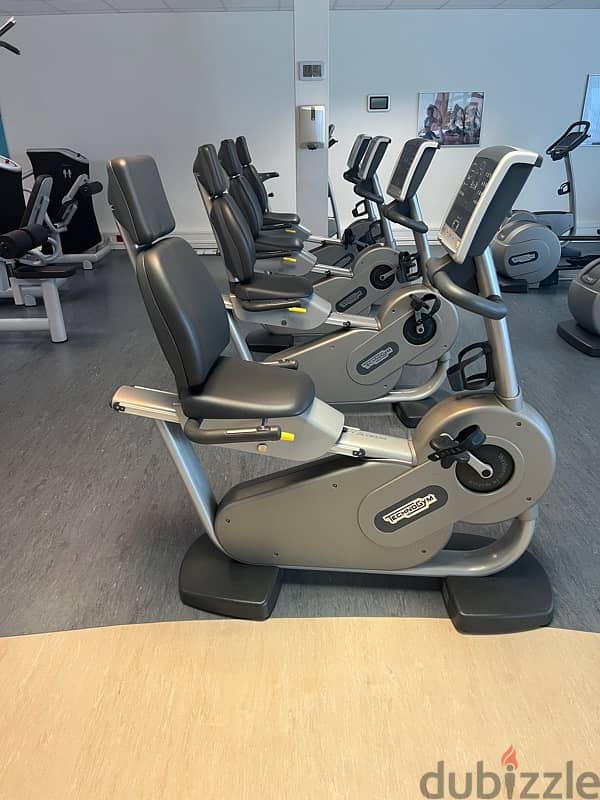 technogym lazy bike hight quality 1