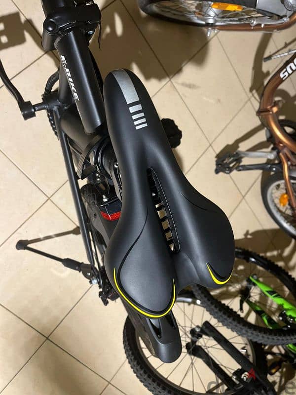 e bike 1