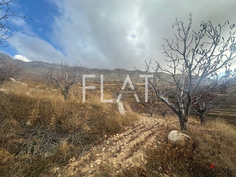 Land  for Sale in Tannourine  | 250,000$ 6