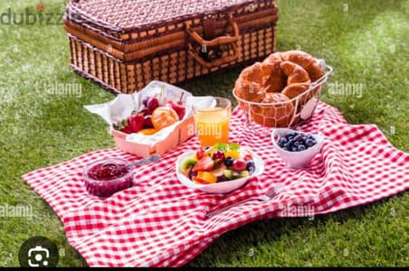 شرشف الpicnic محبوب الجميع