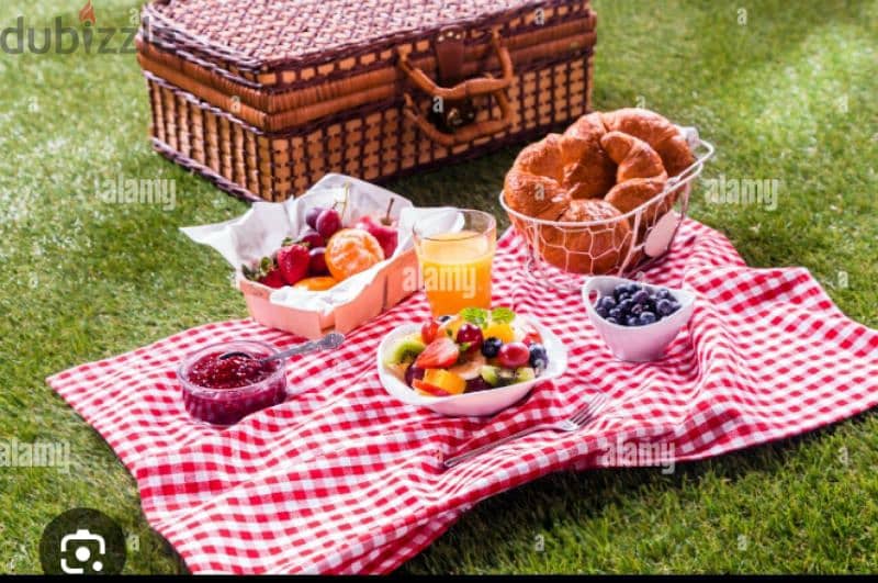 شرشف الpicnic محبوب الجميع 0