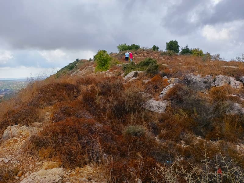 Wonderful Land in Bsaba Lebanon Mount 5