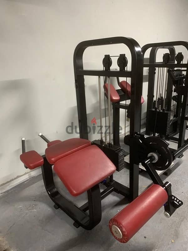 13 piece of Strenght machines for sale 1