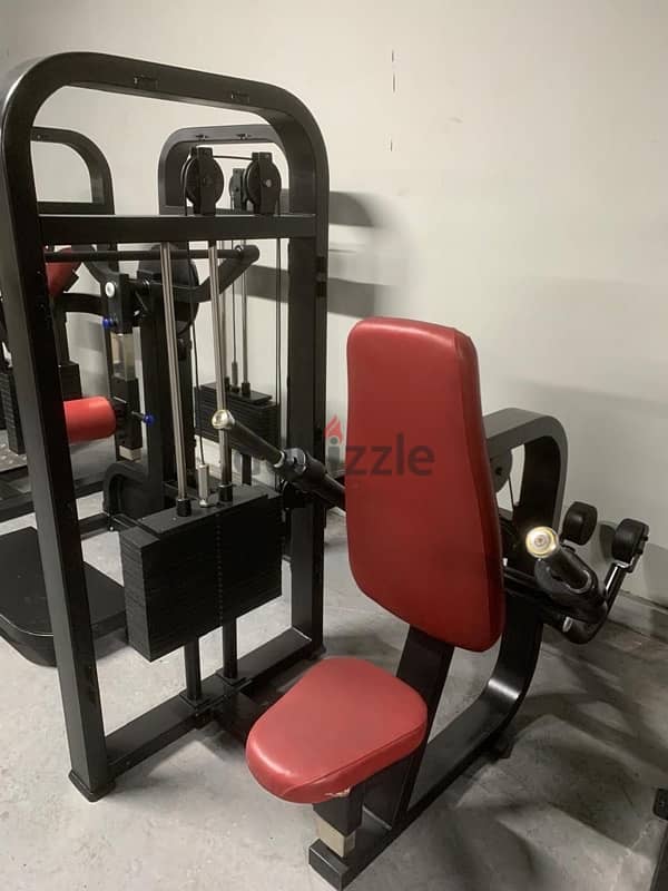 13 piece of Strenght machines for sale 7