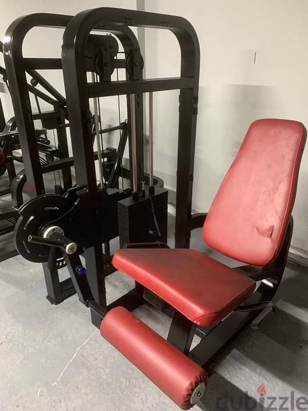 13 piece of Strenght machines for sale 8