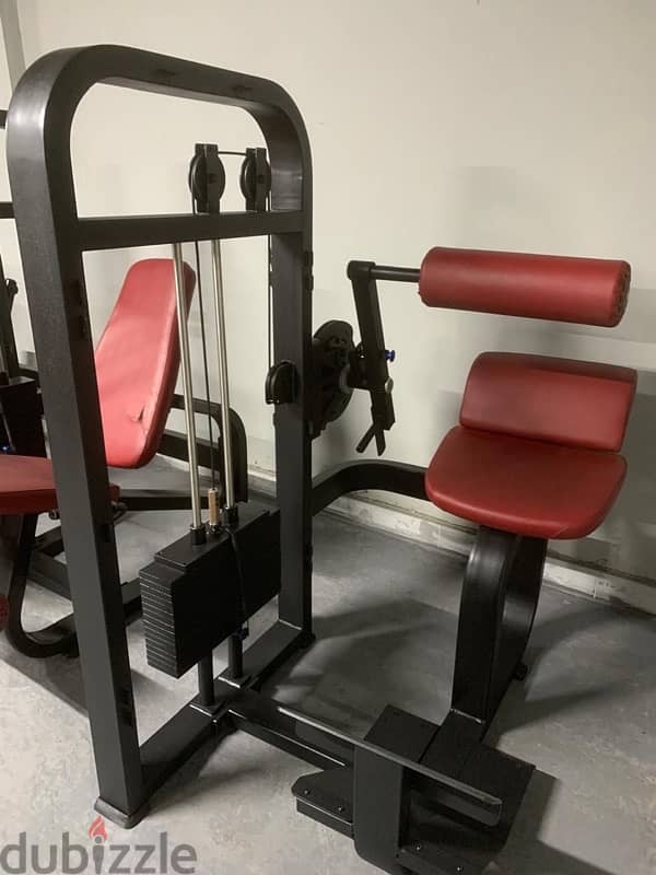 13 piece of Strenght machines for sale 9