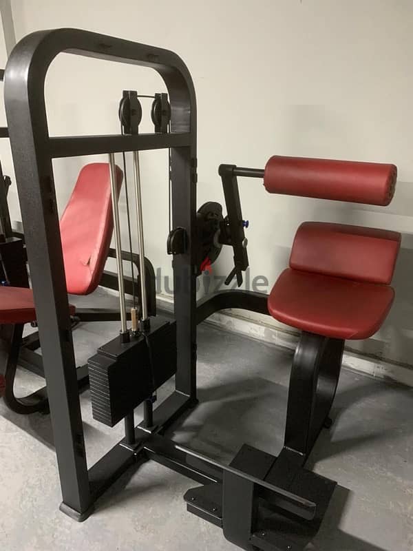 13 piece of Strenght machines for sale 12