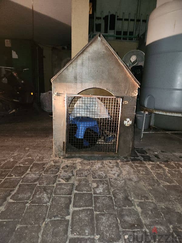 Dog house 1