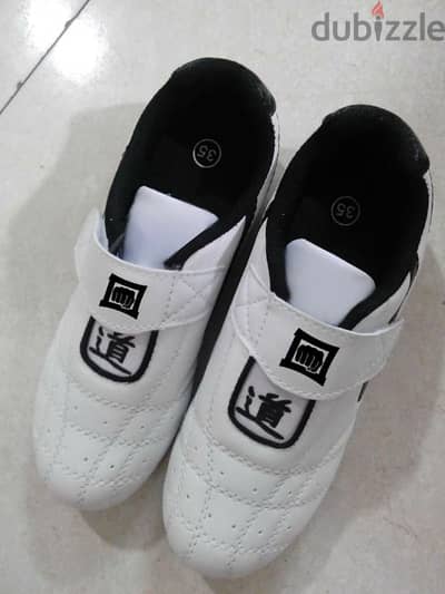 Taekwondo shoes