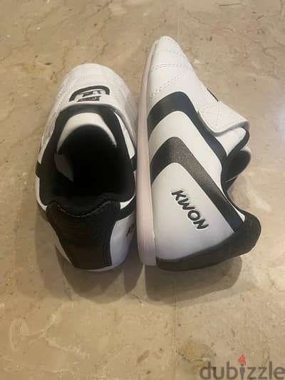 Taekwondo shoes