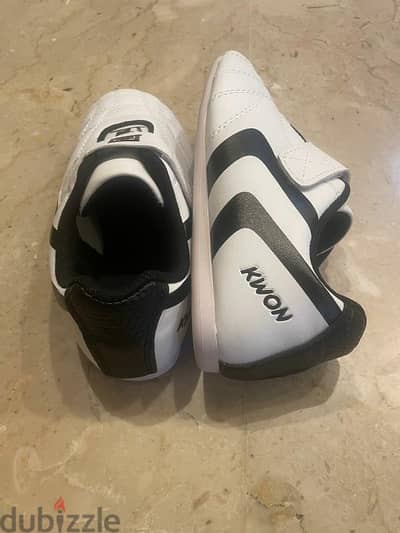 Taekwondo shoes