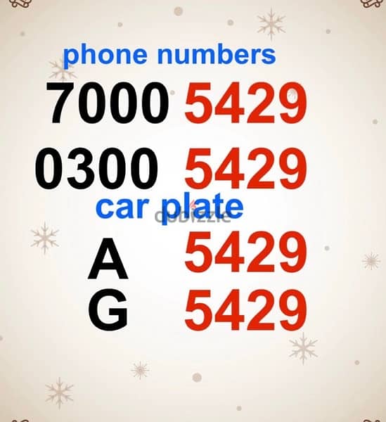 Two special car plates plus two special cellphone numbers 0