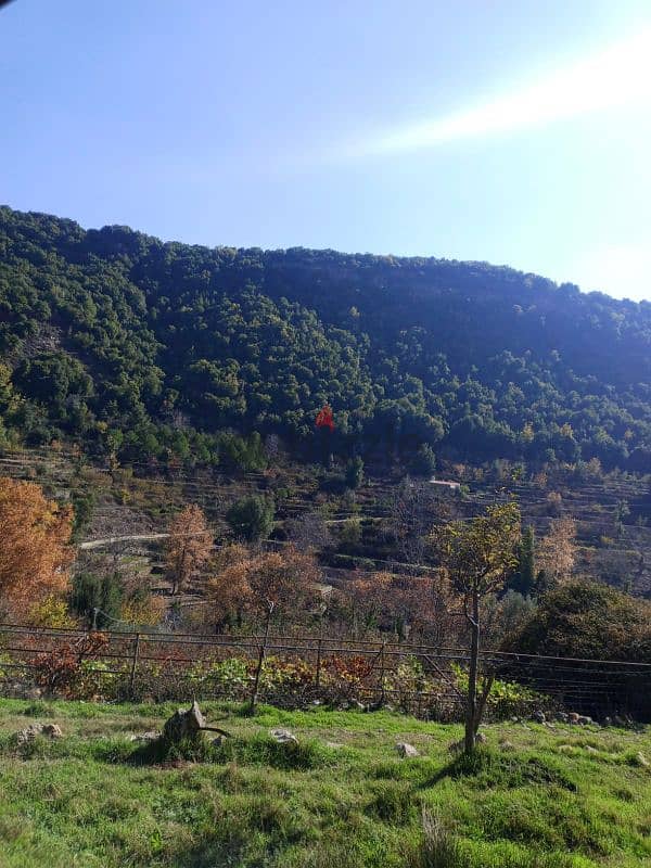 ارض للبيع في الشوف بتلون land for sale in shouf batlon 10