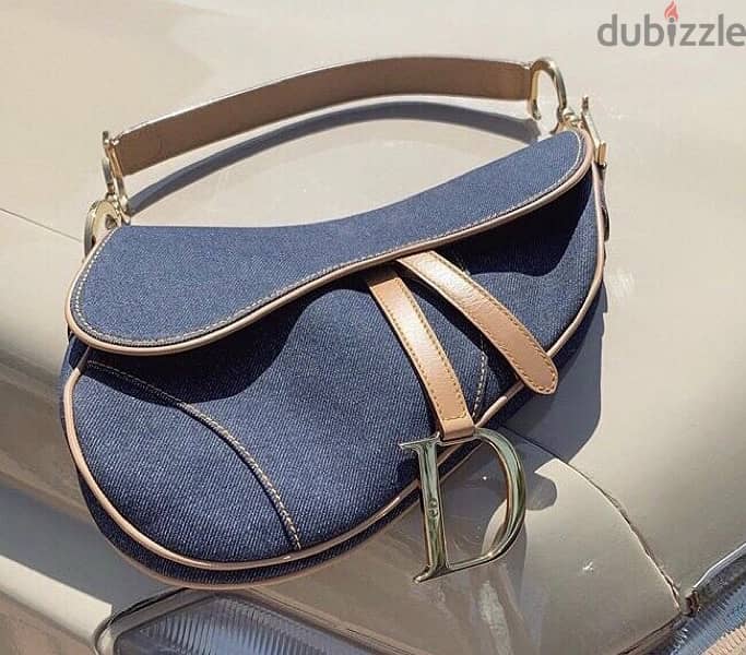 Dior Saddle Bag 1