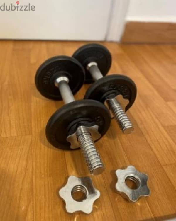 Spinlock Dumbbell Bars, Long Axe & Weights 1