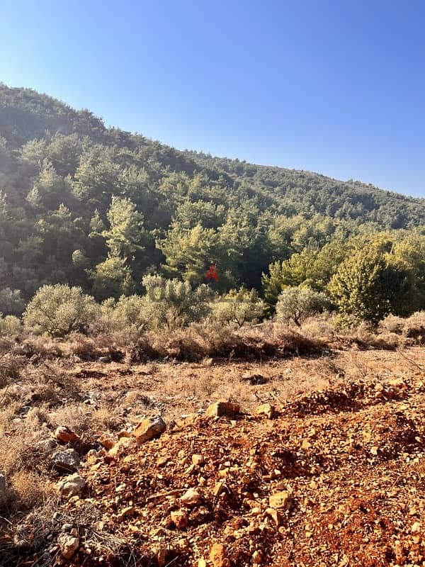 land for sale in karem saddeh 1