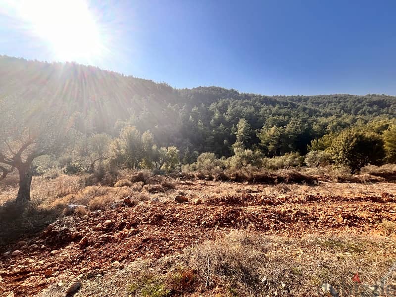 land for sale in karem saddeh 3