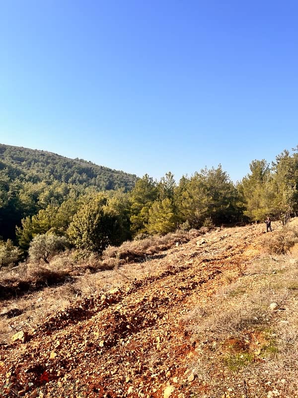 land for sale in karem saddeh 4