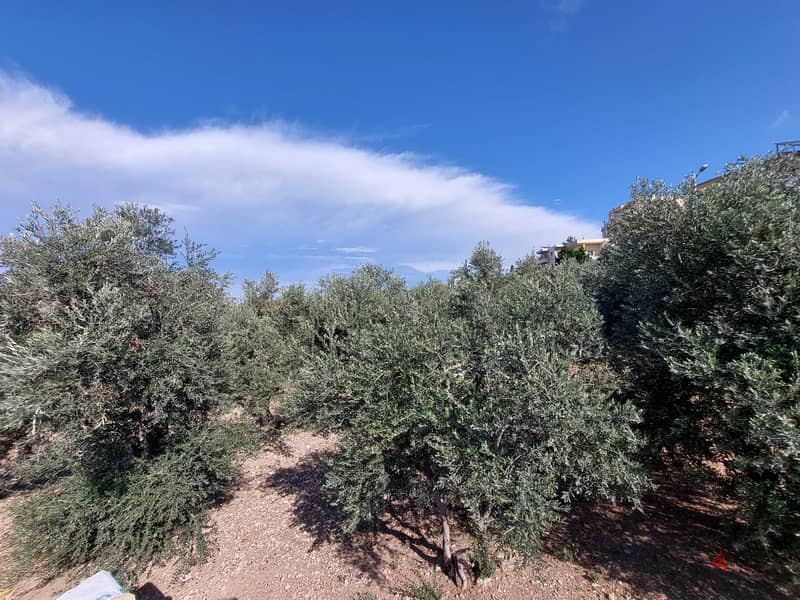 RWB148RH - Land for sale in Chekka Batroun 1