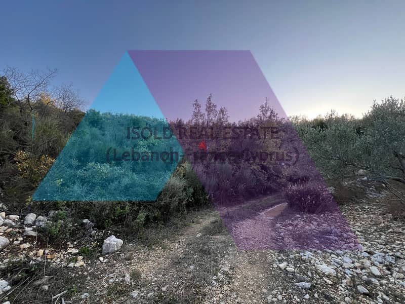 A 4000 m2 land for sale in Mechmech|Jbeil 2