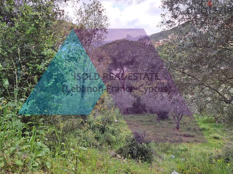 A 830 m2 land having an open mountain view for sale in Oyoun Broumana 1