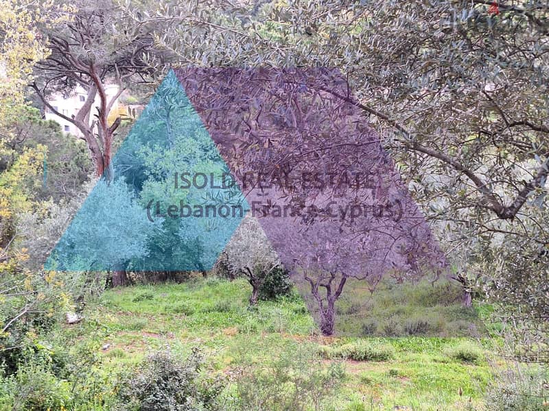 A 830 m2 land having an open mountain view for sale in Oyoun Broumana 2