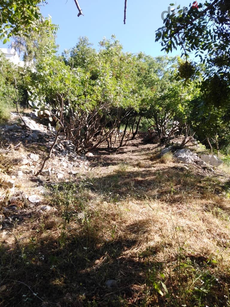 600 Sqm | Land For Sale In Koura / Deir Baachtar دير بعشتار 1