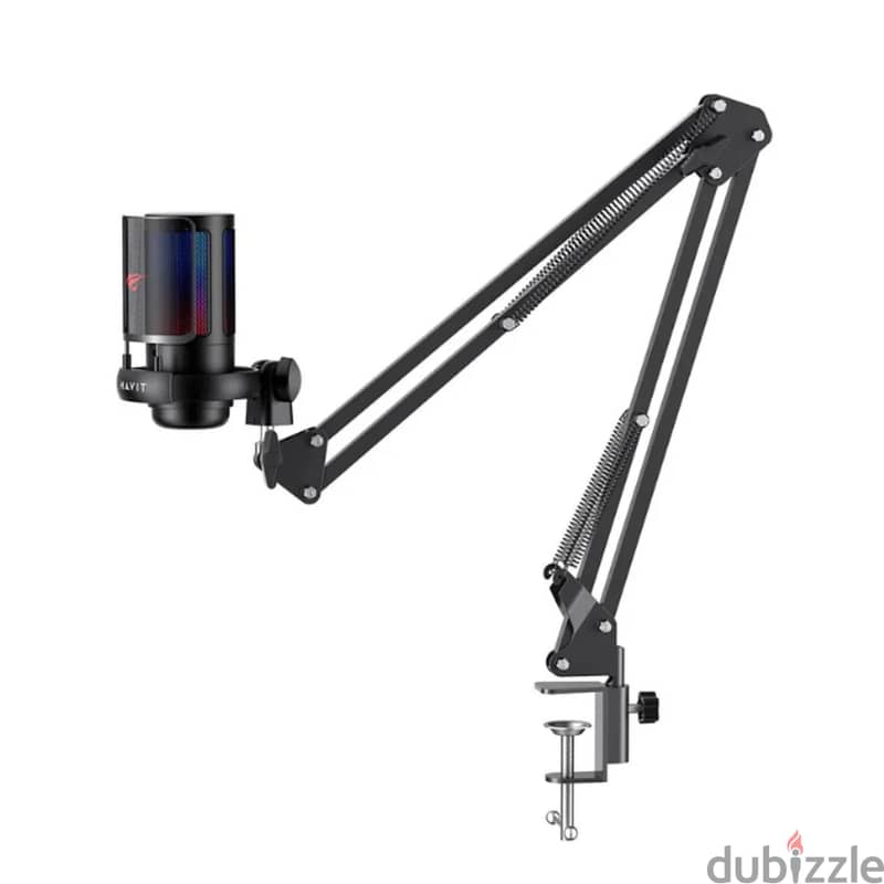 Havit GK50 Pro Series Live Microphone With RGB with Arm Stand 0