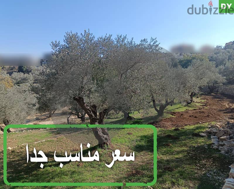 Residential land-Stand alone-Daraya / Chouf/داريا / الشوف REF#DY115233 0