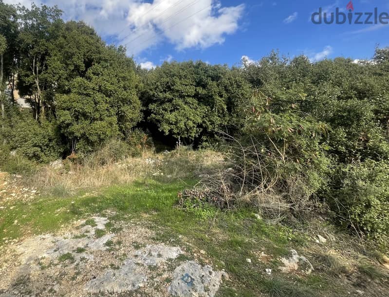 RWK315JA - 1100 SQM  Land For Sale In Adma - أرض للبيع في أدما 1