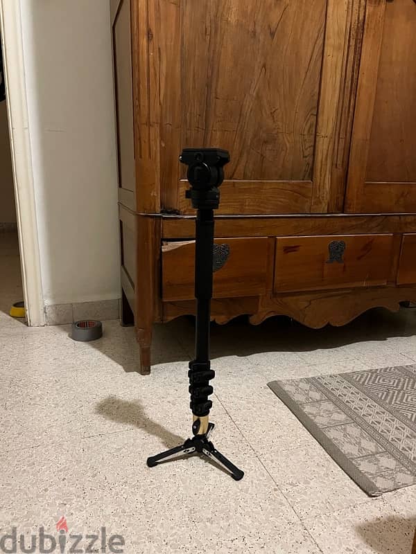 Monopod + Fluid Video Head 1