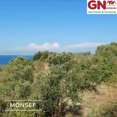 Land In Monsef For Sale ارض في المنصف للبيع