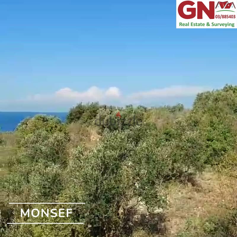 Land In Monsef For Sale ارض في المنصف للبيع 0