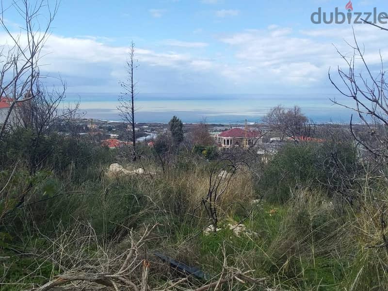 RA24-3769 Land 980 m2 for Sale In Meshref club 1