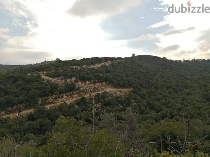 Land for sale  Batroun 3