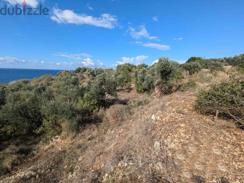 Land For Sale In Monsef | Sea View | أرض للبيع | PLS 26208 1