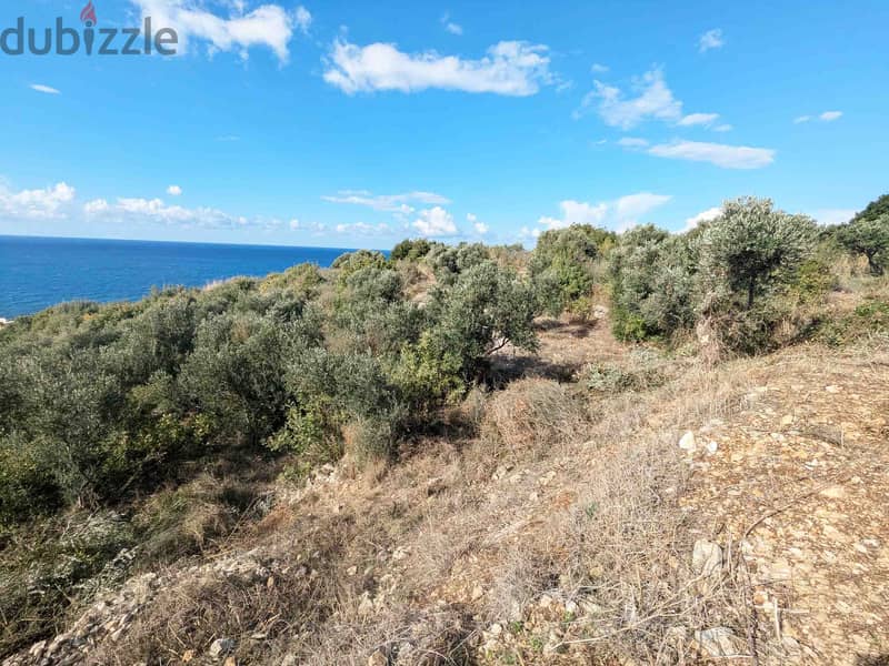 Land For Sale In Monsef | Sea View | أرض للبيع | PLS 26208 2