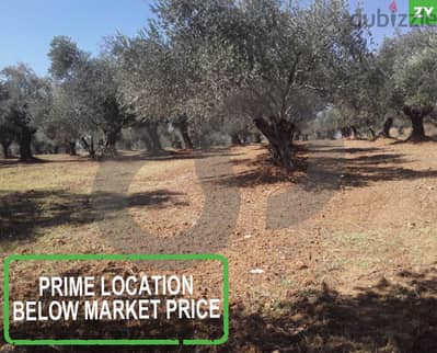 agricultural land , koura, bteram/بطرام - الكورة REF#ZY115332